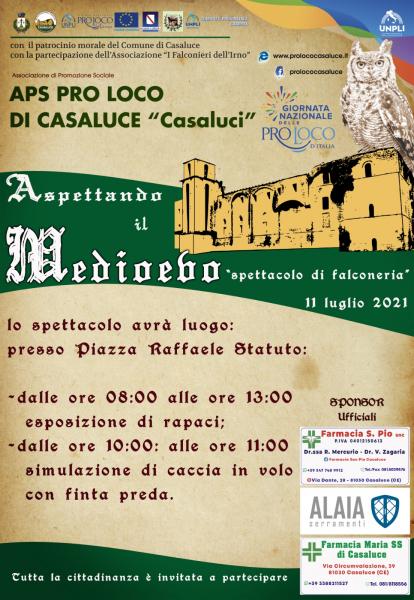 Aspettando il Medioevo – Spettacolo di Falconeria