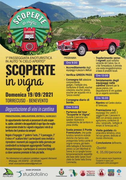 SCOPERTE IN VIGNA