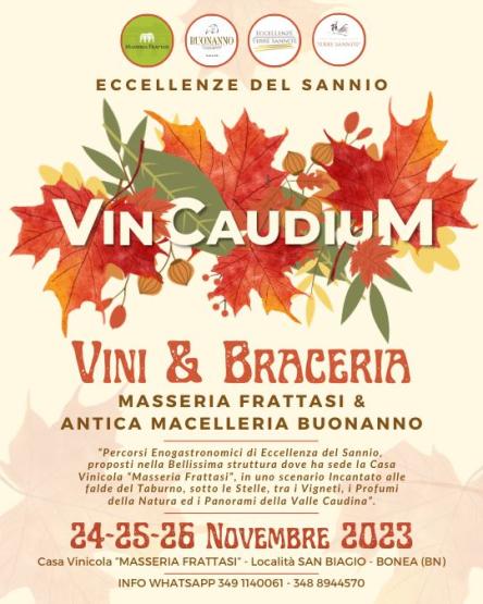 VINCAUDIUM